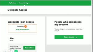Invite a delegate to access in GoDaddy account ?
